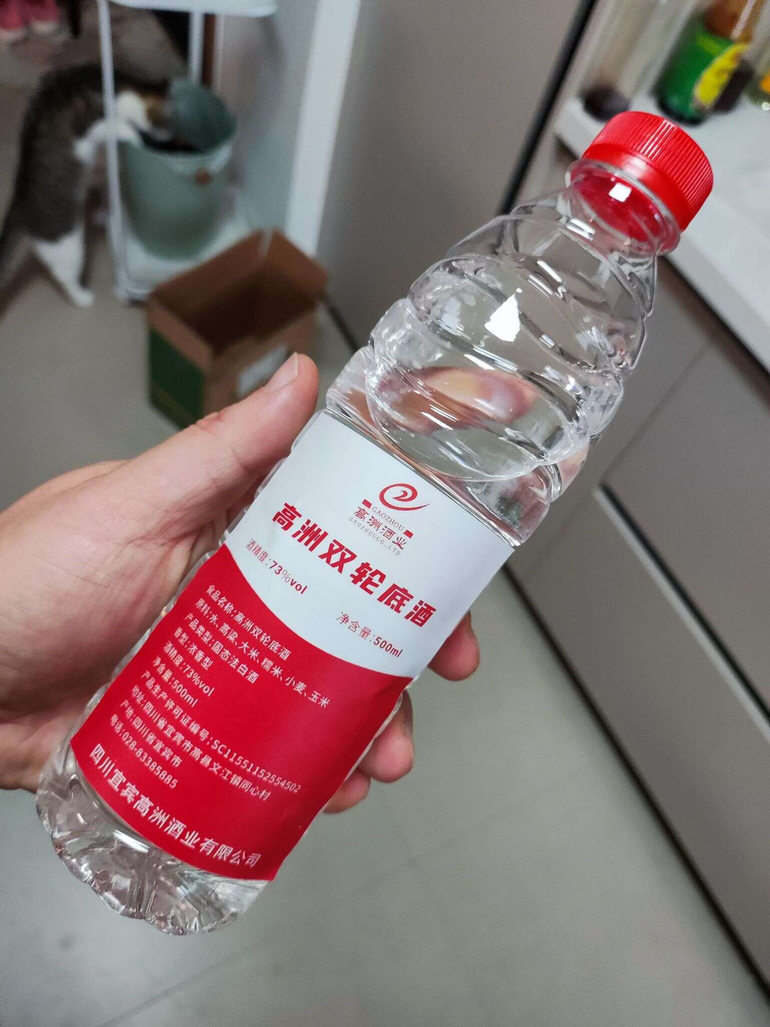 高洲 双轮底 散酒 20240202 123126